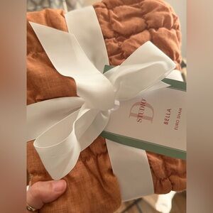 Burnt Orange Euro Sham